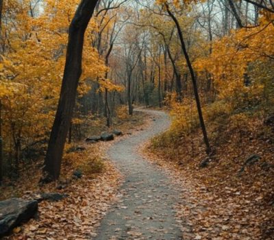 hiking the park trails abijatta shalla lakes