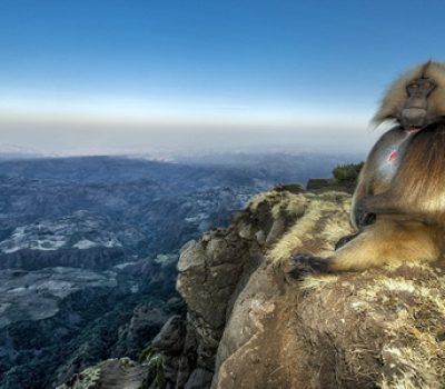 simien mountians